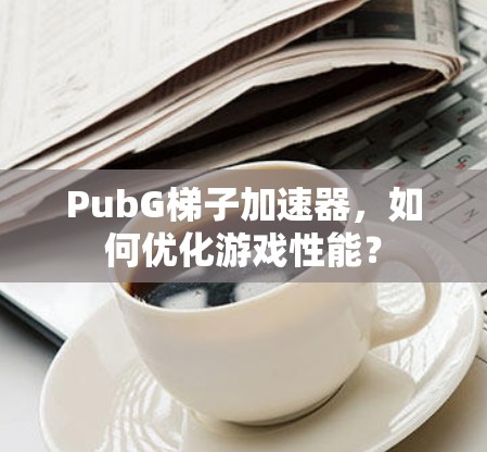 PubG梯子加速器，如何优化游戏性能？